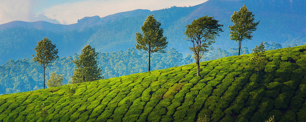 Kerala