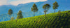 Kerala
